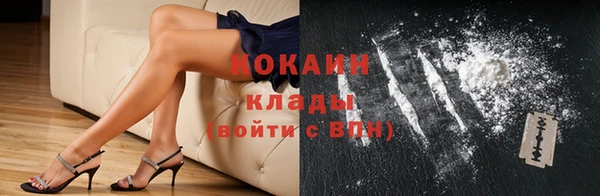 шишки Переславль-Залесский