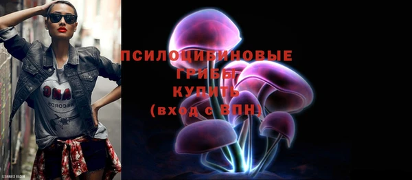 СК Пестово