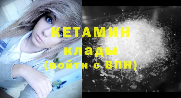 шишки Переславль-Залесский
