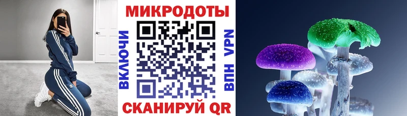 сколько стоит  Вихоревка  Псилоцибиновые грибы Cubensis 